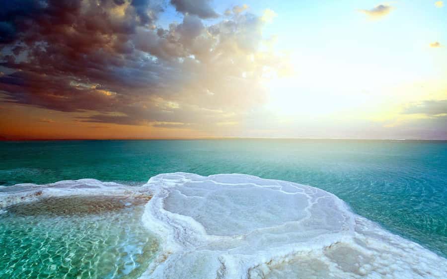 From Amman: Dead Sea, Mt Nebo, Madaba, Baptism full day trip - Dead Sea floating and mud treatment, plus why the 4-star day-use matters