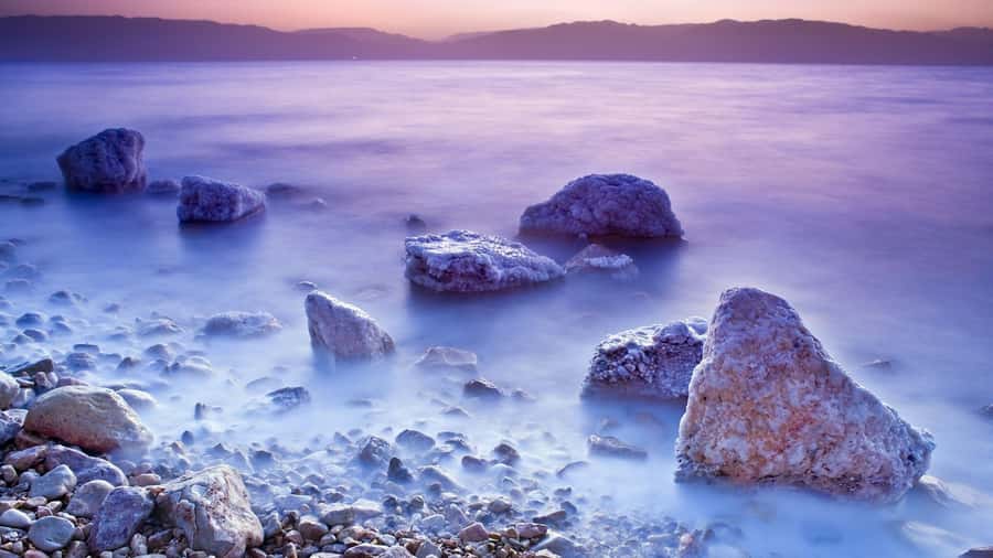 From Amman: Dead Sea, Mt Nebo, Madaba, Baptism full day trip - Small details that can make or break the day
