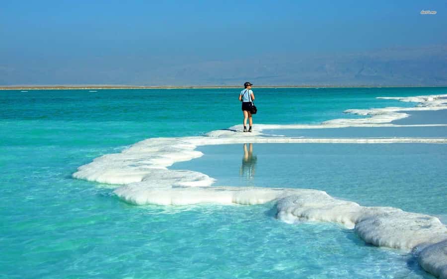 From Amman: Dead Sea, Mt Nebo, Madaba, Baptism full day trip - Who this day trip fits best (and who might want a different plan)