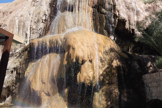 From Amman :Full day Dead Sea and Ma'in Hot spring tour - Why This Amman Day Trip Makes Sense for First-Timers