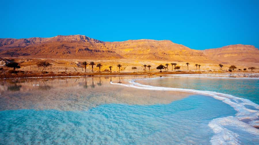 From Amman :Full day Dead Sea and Ma'in Hot spring tour - FAQ