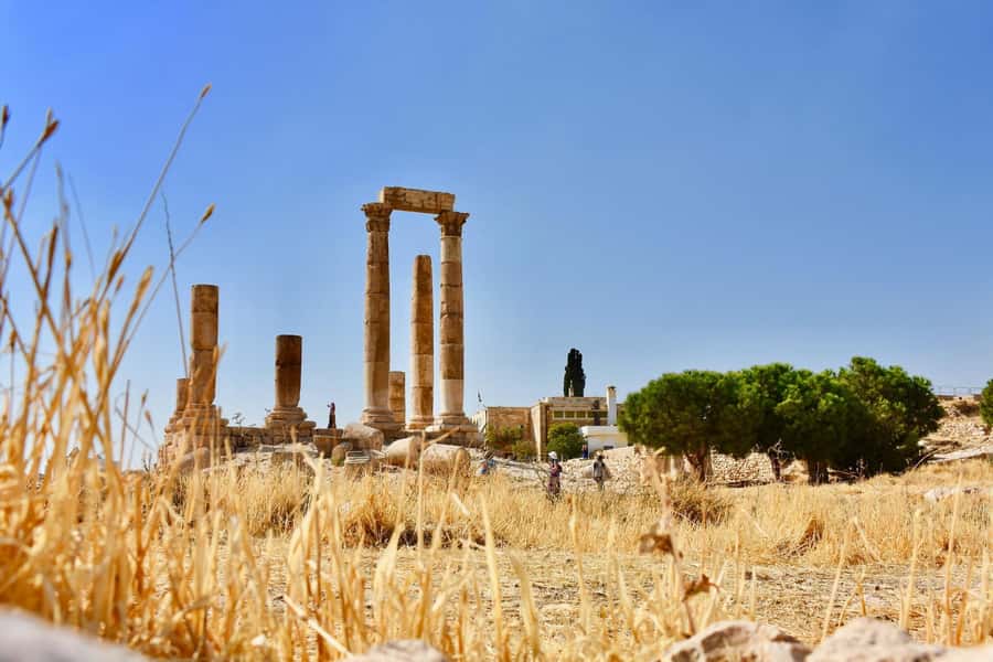 From Amman: Full day Jerash and Amman city Tour - Price and value: is $80 per person worth it?