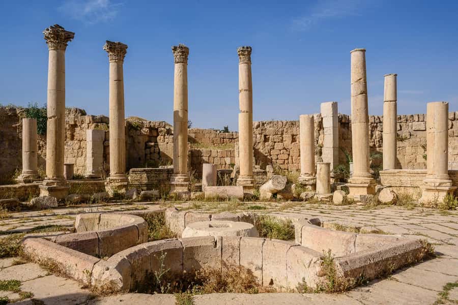 From Amman : Full day tour - Jerash and the Dead sea. - Key Things You Get Out of This Tour