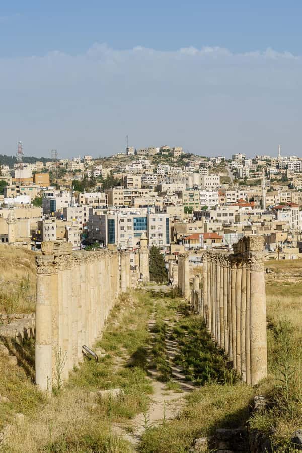 From Amman : Full day tour - Jerash and the Dead sea. - Jerash Archaeological Museum: Worth It, If You Like Context