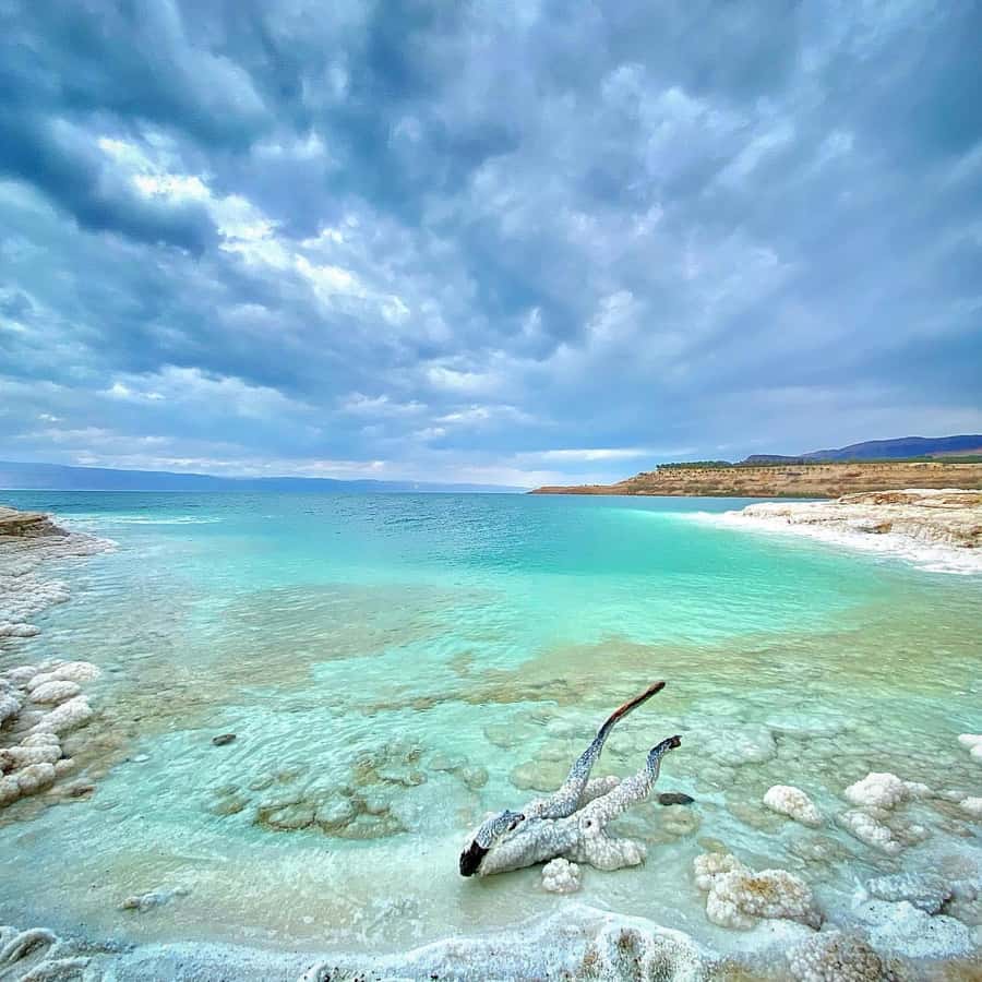 From Amman: Half-Day Tour to Dead Sea - Dead Sea mud and salts: how the “pampering” part fits in