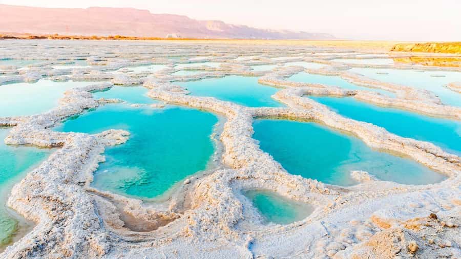 From Amman: Half-Day Tour to Dead Sea - Who should book this Amman to Dead Sea half-day tour