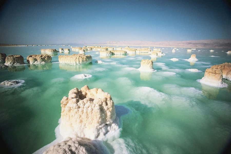 From Amman : Half-day tour to Dead sea and Crystal beach - Dead Sea Beach Time: Buoyancy, Free Space, and Resort-Style Access