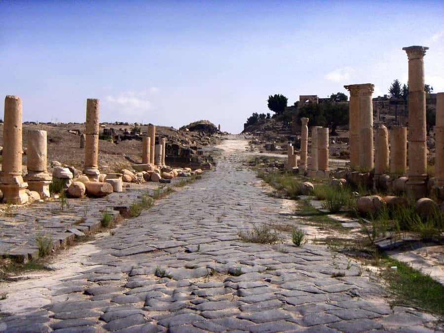 From Amman: Jerash, Ajloun Castle or Umm Qais Private Tour - Quick hits before you go