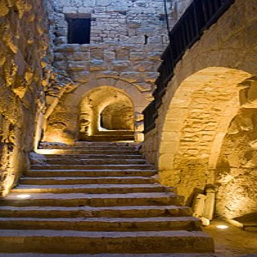 From Amman: Jerash &Ajloun &Um Qais Private Tour - Key Highlights That Matter