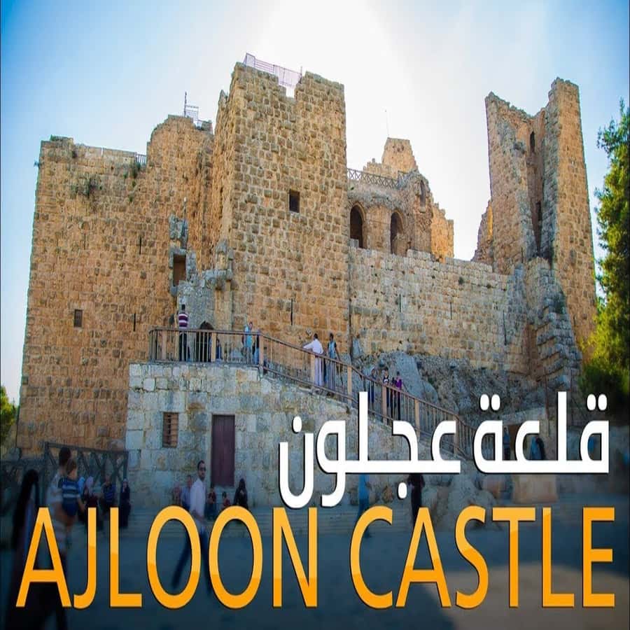 From Amman: Jerash &Ajloun &Um Qais Private Tour - A Private Day From Amman, With Real Comfort and an English-Speaking Driver
