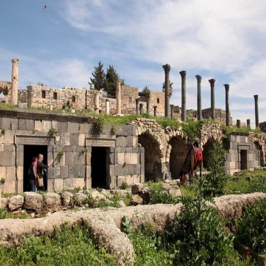 From Amman: Jerash &Ajloun &Um Qais Private Tour - Um Qais Roman Ruins and Northern Jordan Panoramas