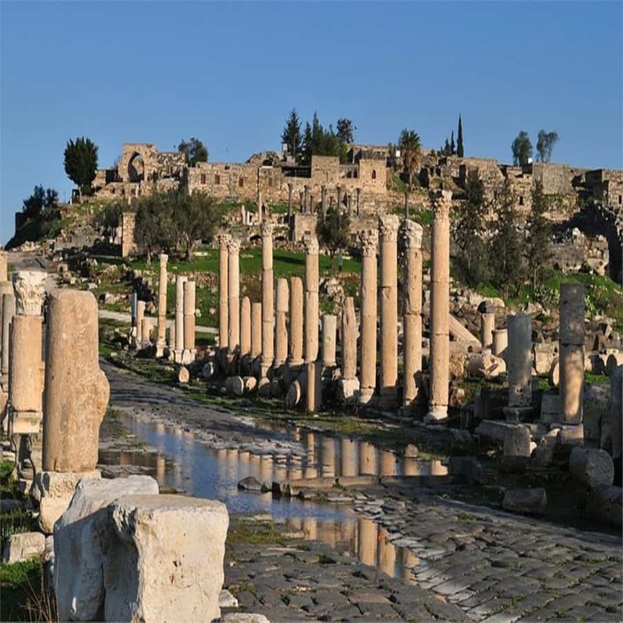 From Amman: Jerash &Ajloun &Um Qais Private Tour - Price and Value: Is $70 Per Person a Smart Deal?