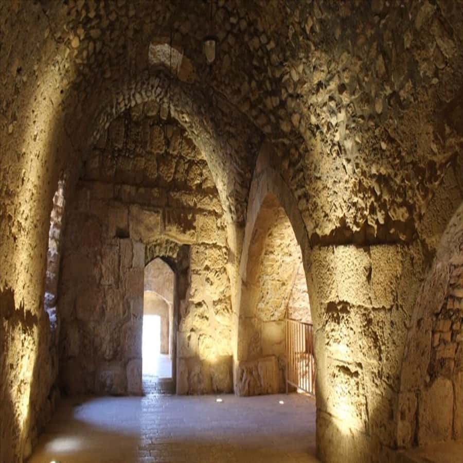 From Amman: Jerash &Ajloun &Um Qais Private Tour - Jerash Roman Ruins: Colonnaded Street, Amphitheater, Temple, and Hadrian’s Arch