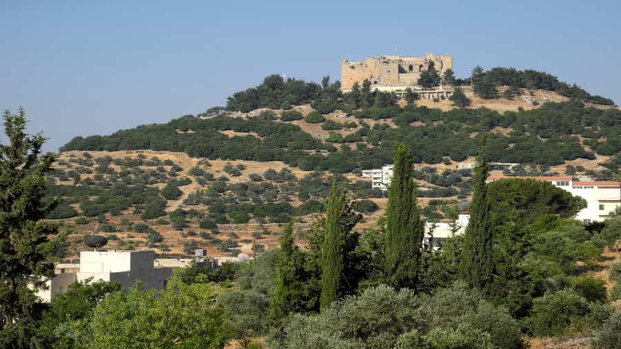 From Amman: Jerash and Ajloun Day Tour - From Amman to Jerash, how the drive sets the tone