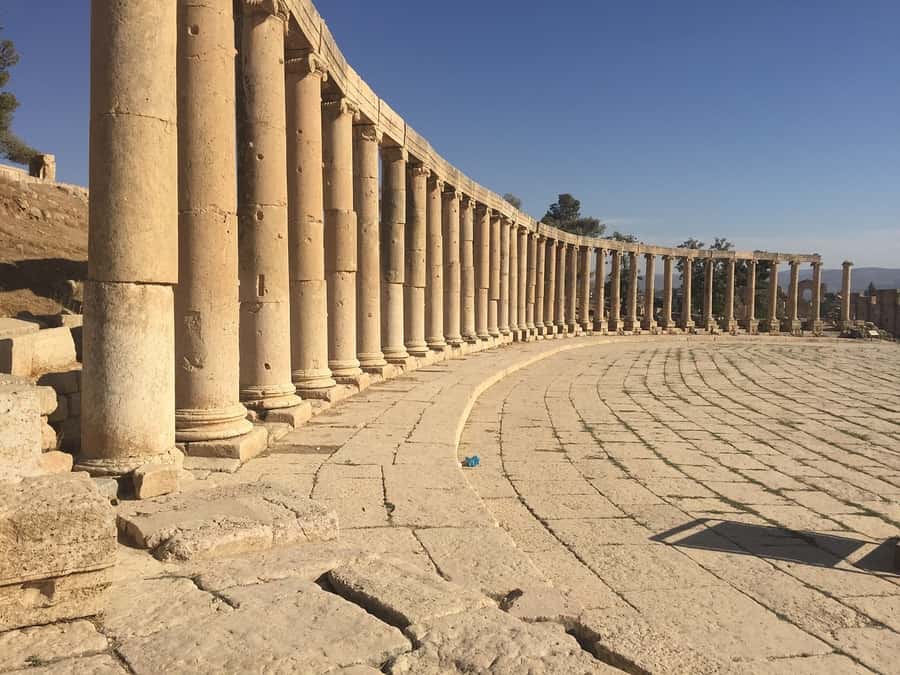 From Amman: Jerash, Umm Qais, and Jesus' Cave Private Trip - Driver-led success: what the reviews consistently point to