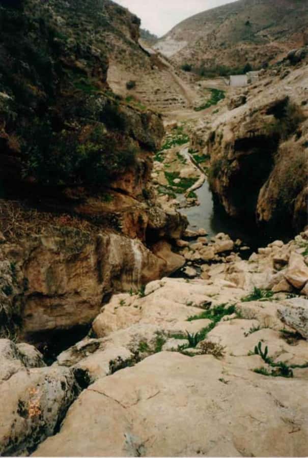 From Amman: Jerash, Umm Qais, and Jesus' Cave Private Trip - Jordan Pass tip: save money before you go
