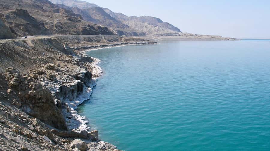From Amman: Madaba, Mount Nebo, & Dead Sea Day Tour - The Dead Sea resort swim and buffet lunch that actually takes time