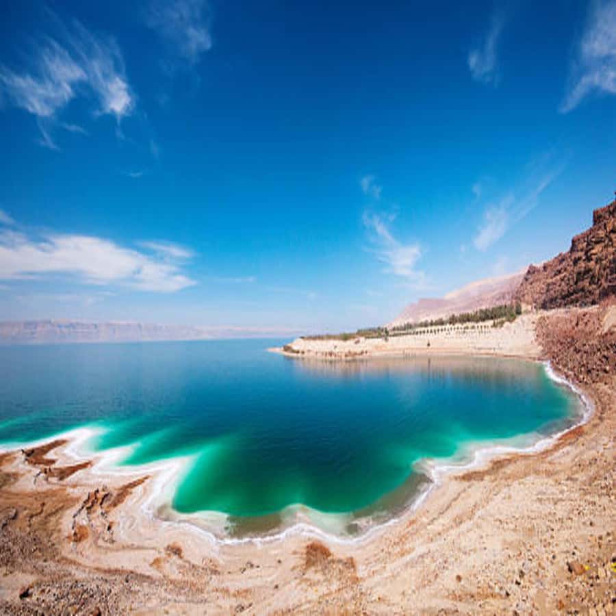 From Amman: Mount Nebo, Madaba, and Baptism Site Day Trip - Price and What You Get for $74 Per Person