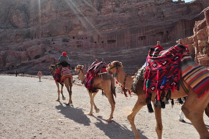 From Amman: one day tour to Petra - The short horseback ride to the Siq: worth it, or skip it?