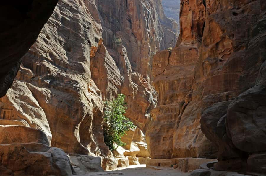 From Amman: Petra and Dead Sea Private Day Tour - FAQ