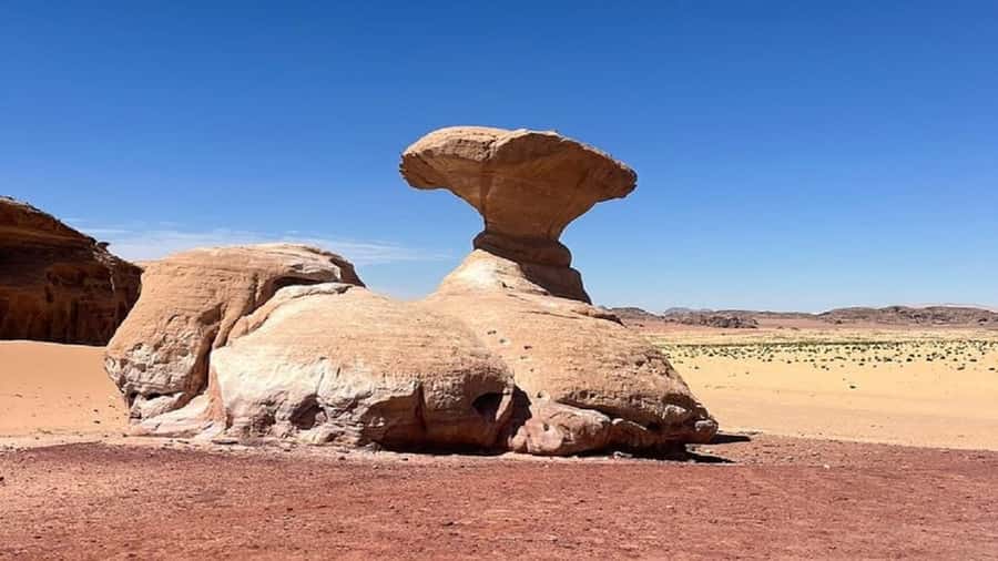 From Amman: Petra, Wadi Rum, and Dead Sea Private 2-Day Trip - Key highlights to focus on