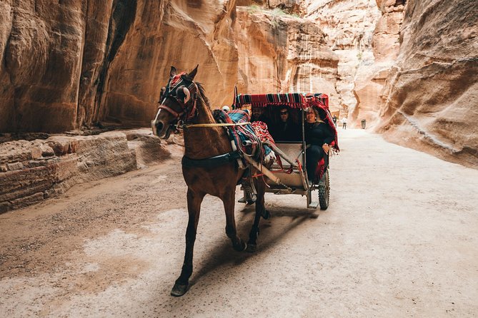 FROM AMMAN | Petra & Wadi Rum in one day | The Jordanian Mappers - The return to Amman: plan your evening stamina