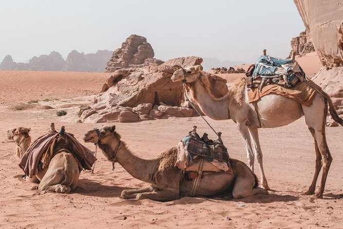 FROM AMMAN | Petra & Wadi Rum in one day | The Jordanian Mappers - Price and value: what $370 gets you, and what it does not