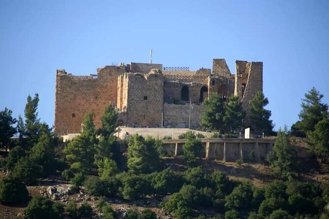 From Amman :Private day tour to Jerash and Ajloun - What’s included, what’s not: a simple checklist before you go