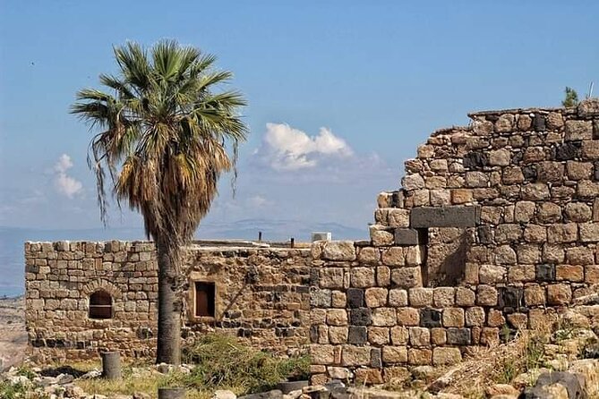 From Amman: Private Full Day Tour Jerash Ajloun & Um Qais - Jerash Ruins: Greco-Roman scale, and how to manage timing