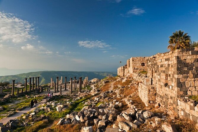 From Amman: Private Full Day Tour Jerash Ajloun & Um Qais - Amman pickup and private driving: the real value