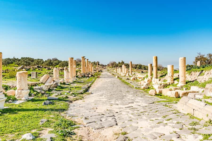 From Amman: Private Jerash, Ajloun Castle, and Umm Qais Tour - Private North Jordan Touring: From Amman Straight to Jerash
