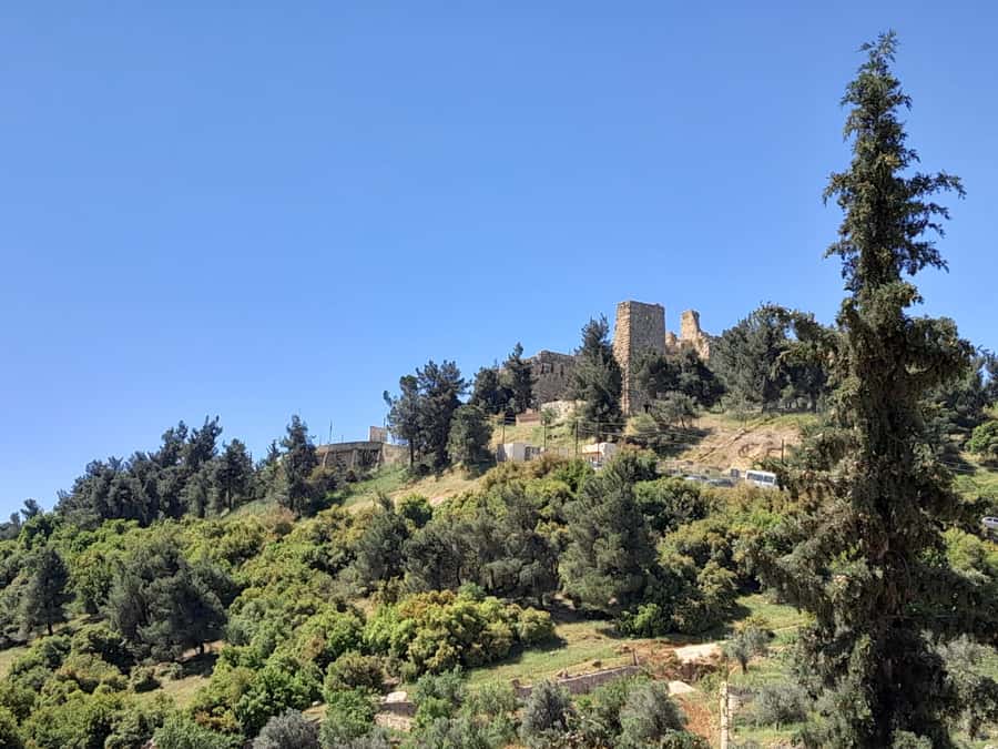 From Amman: Private Jerash, Ajloun Castle, and Umm Qais Tour - Ajloun Castle: Saladin’s Fortress and Forest Views