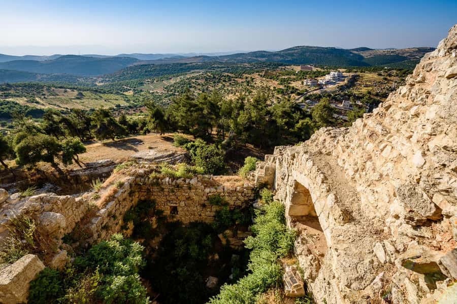 From Amman: Private Jerash, Ajloun Castle, and Umm Qais Tour - What the Private Driver Actually Improves