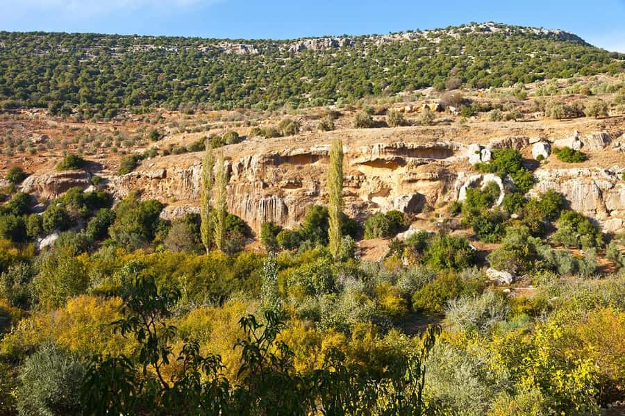 From Amman: Private Jerash, Ajloun Castle, and Umm Qais Tour - Who This Tour Fits Best