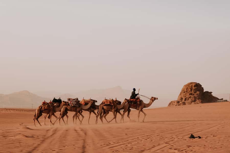 From Amman: Private or sharing Petra &Wadi Rum Full day Tour - Petra First, Then Wadi Rum, One Packed Full Day