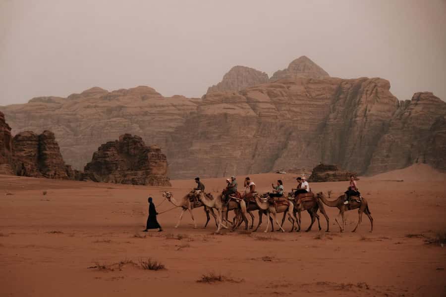 From Amman: Private or sharing Petra &Wadi Rum Full day Tour - Price and Value: Is $124 Fair for a One-Day Petra + Wadi Rum?