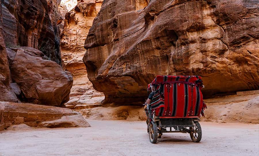 From Amman: Private Petra Day Trip with Guide - A private way to see Petra without the stress