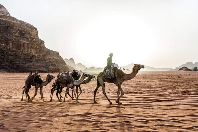From Amman to Petra and Wadi rum ( Private two days) - Day 2: Wadi Rum jeep tour, activities, and night-sky time