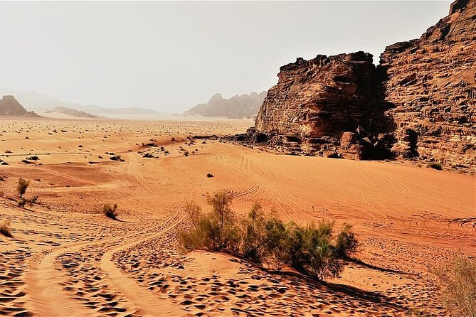From Amman to Petra and Wadi rum ( Private two days) - Should you book? My practical take