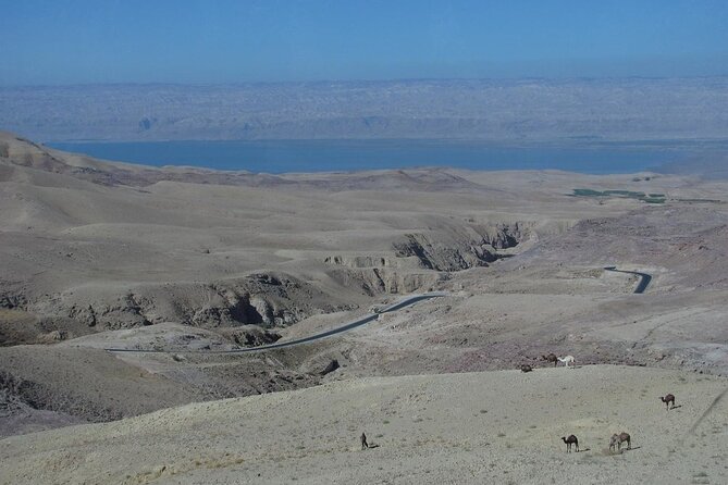 From Amman to West ( Madaba, Mt Nebo, baptism site and dead sea) - Dead Sea region: buoyancy, mineral calm, and gooey mud fun
