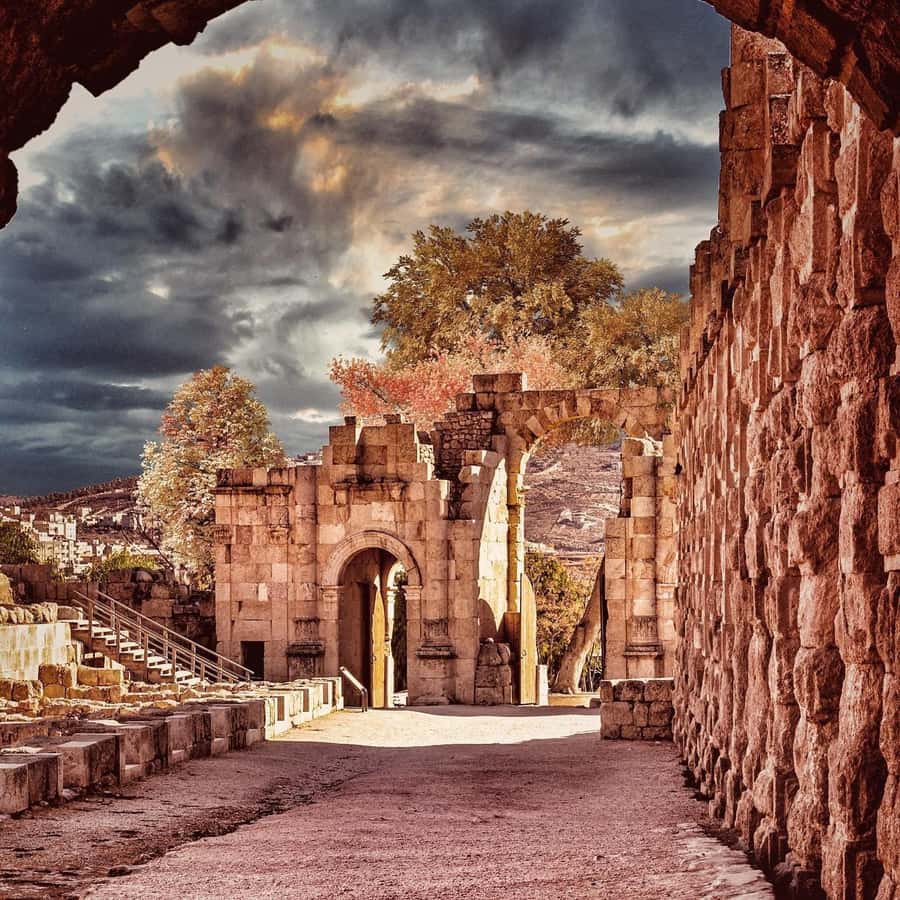 From Amman Trip To Jerash - Wi-Fi and water: small inclusions that make the ride easier