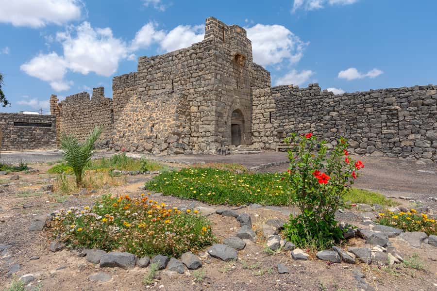 From Amman: Umayyad Desert Castles Tour with Transfer - Which kind of traveler should book this tour