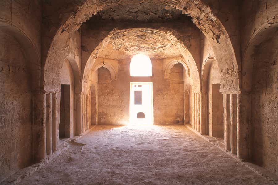 From Amman: Umayyad Desert Castles Tour with Transfer - Should you book this Umayyad Desert Castles tour from Amman?