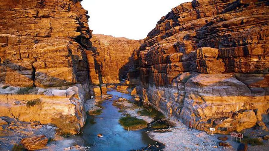From Amman: Wadi Mujib Siq Trail Private Hiking Tour - Why the Wadi Mujib Siq Trail feels like a signature Jordan day