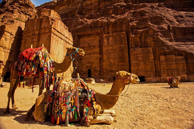 From Aqaba a Day Excursion to Petra - Key Highlights You Should Care About