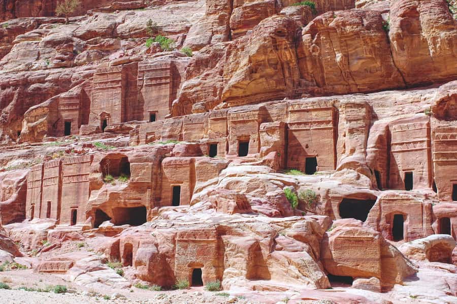 From Dead Sea: Private Full-Day Petra Tour - Lunch and Free Time: How to Pace the Rose City