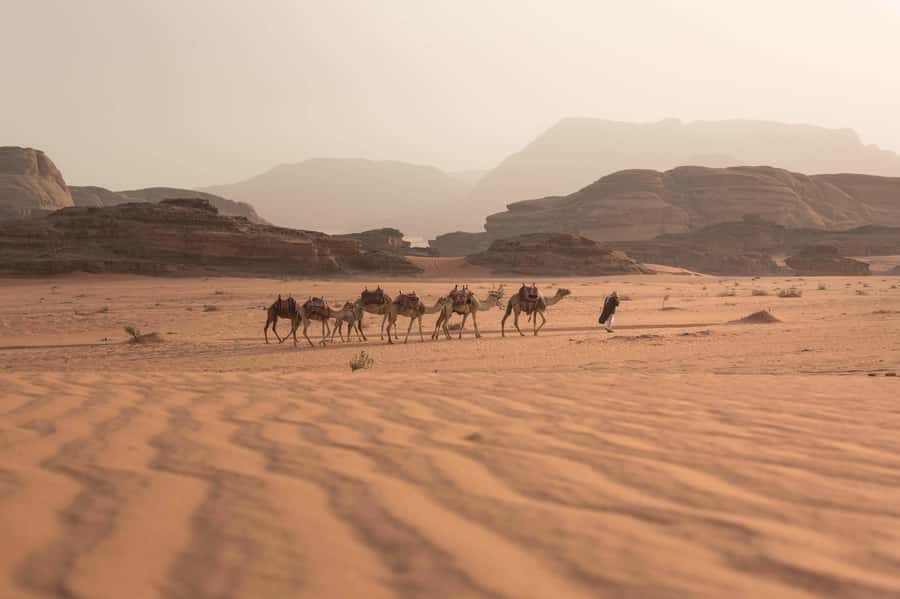 From Eilat, Jerusalem, Tel Aviv: Petra & Wadi Rum 3-Day Tour - Key Highlights to Pay Attention To