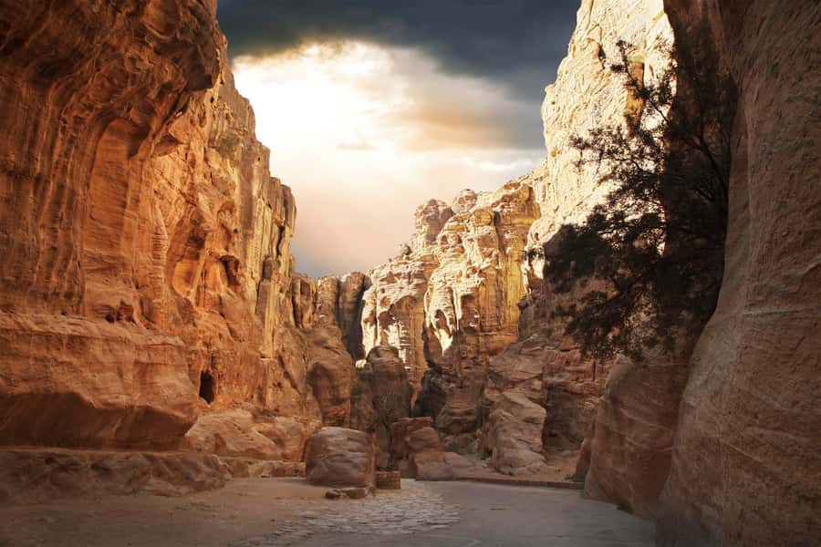 From Eilat: Petra Day Private Tour - From Eilat to Petra: the drive that keeps your day from melting