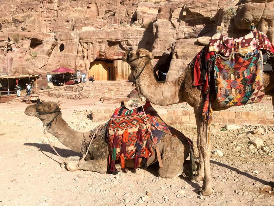 From Eilat: Petra Full-Day Guided Tour with Transfers - Entering Petra the Right Way: Guided Time That Saves You Confusion