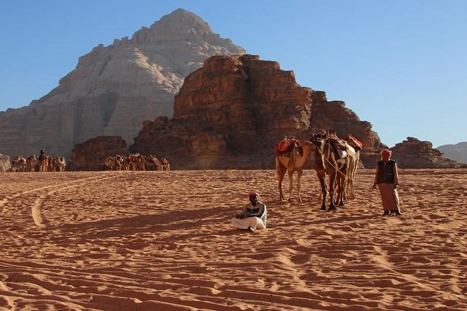 From Petra to Wadi Rum, then back to Amman or the airport. - The Return Drive to Amman: Why the Dropoff Ends the Day Well